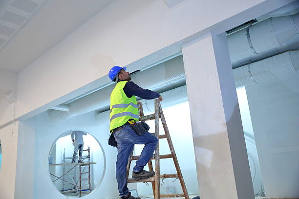 Best Fire-Damaged Drywall Repair  in Homer, MI